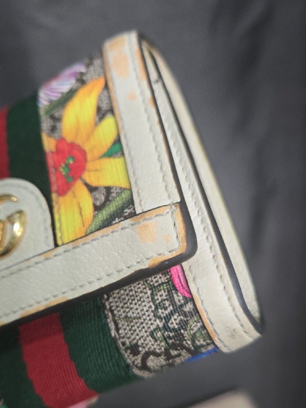 Gucci Floral Canvas Mini Wallet with Green-Red Web and White Trim - Picture 10 of 15